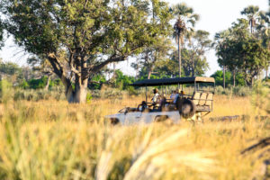 Safarifahrzeug im Okavango-Delta